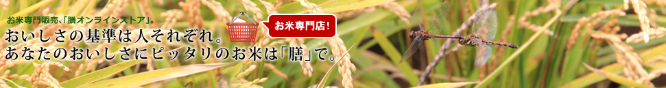 おいしさ・安全・安心にこだわる。特別栽培米にこだわる「膳グループ」、「膳のお米」に込められた想いです。