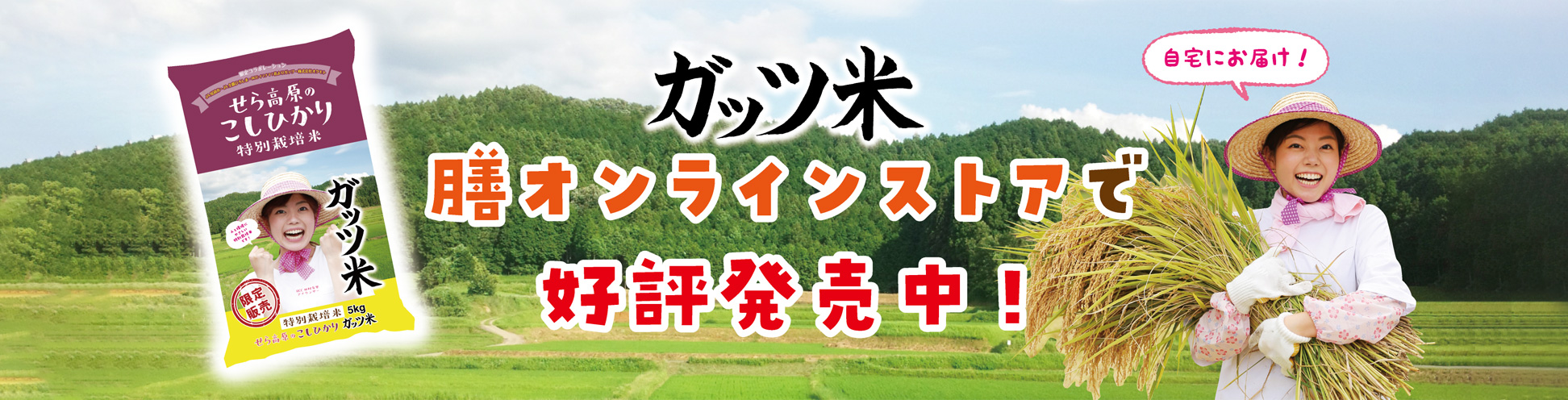 広島のおいしいお米の通販サイト お米専門店 膳